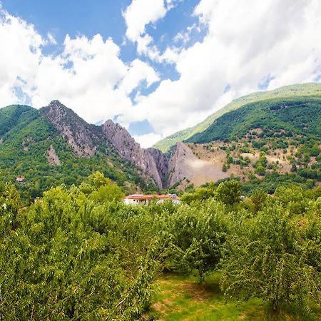 Irenes Resort Káto Loutrákion Eksteriør bilde